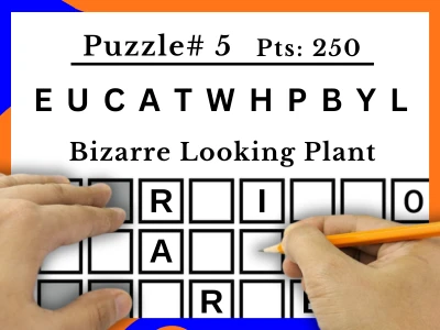 Puzzle Image